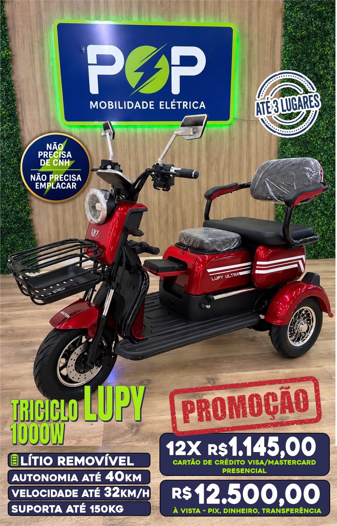 Triciclo familia LUPY ULTRA VELOSTER 1000W 